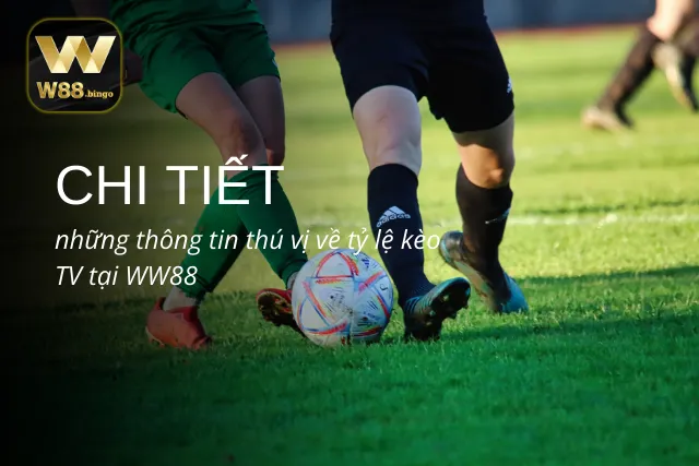 Chi tiết những thông tin thú vị về tỷ lệ kèo TV tại WW88