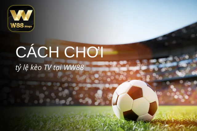Cách chơi tỷ lệ kèo TV tại WW88 không thể bỏ qua